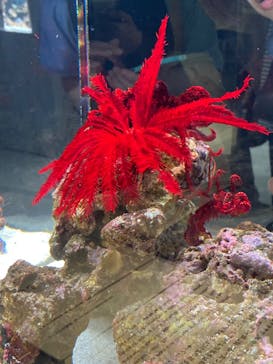 AOAO SAPPOROに投稿された画像（2023/7/22）