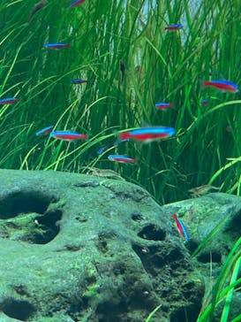 AOAO SAPPOROに投稿された画像（2023/7/22）