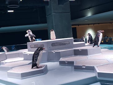 AOAO SAPPOROに投稿された画像（2023/7/22）