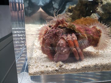 AOAO SAPPOROに投稿された画像（2023/7/22）