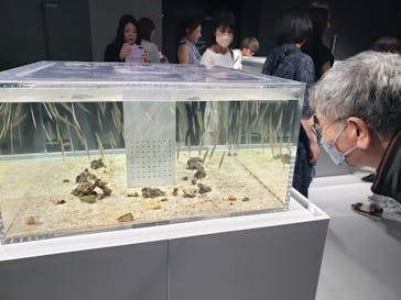 AOAO SAPPOROに投稿された画像（2023/7/22）