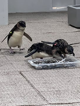 AOAO SAPPOROに投稿された画像（2023/7/22）