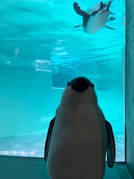 AOAO SAPPOROに投稿された画像（2023/7/22）