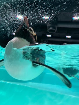 AOAO SAPPOROに投稿された画像（2023/7/22）