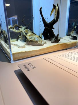 AOAO SAPPOROに投稿された画像（2023/7/22）