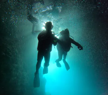 武藤潜水に投稿された画像（2023/7/22）