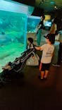 世界淡水魚園水族館　アクア・トトぎふに投稿された画像（2023/7/22）