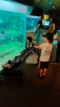 世界淡水魚園水族館　アクア・トトぎふに投稿された画像（2023/7/22）