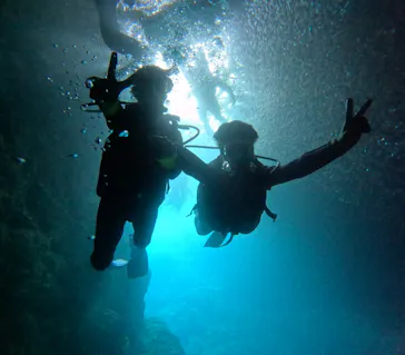 武藤潜水に投稿された画像（2023/7/22）