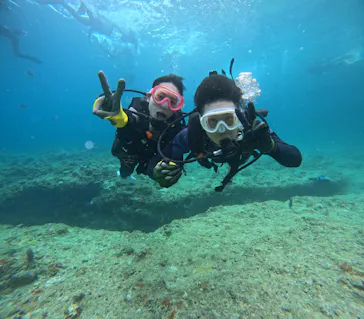 武藤潜水に投稿された画像（2023/7/22）