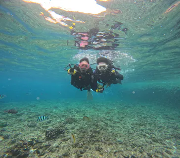 武藤潜水に投稿された画像（2023/7/22）