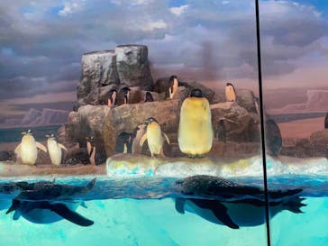 名古屋港水族館に投稿された画像（2023/7/22）