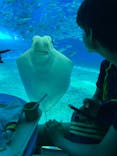 沖縄美ら海水族館に投稿された画像（2023/7/22）