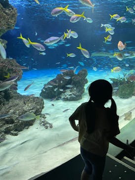 サンシャイン水族館に投稿された画像（2023/7/22）
