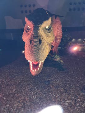 朱鷺メッセに投稿された画像（2023/7/22）