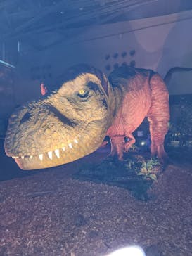 朱鷺メッセに投稿された画像（2023/7/22）