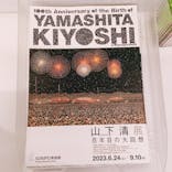 生誕100年 山下清展ー百年目の大回想（SOMPO美術館）に投稿された画像（2023/7/22）