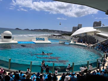 鴨川シーワールドに投稿された画像（2023/7/22）