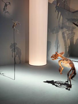 DinoScience 恐竜科学博 2023@TOKYO MIDTOWNに投稿された画像（2023/7/22）