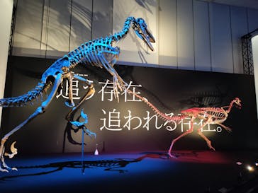 DinoScience 恐竜科学博 2023@TOKYO MIDTOWNに投稿された画像（2023/7/22）