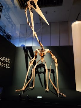 DinoScience 恐竜科学博 2023@TOKYO MIDTOWNに投稿された画像（2023/7/22）