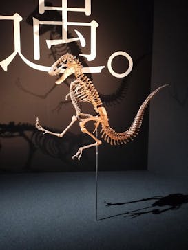 DinoScience 恐竜科学博 2023@TOKYO MIDTOWNに投稿された画像（2023/7/22）