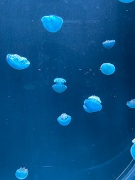 AOAO SAPPOROに投稿された画像（2023/7/22）