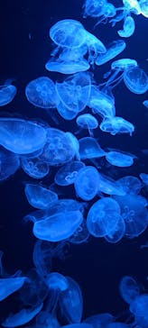 AOAO SAPPOROに投稿された画像（2023/7/22）