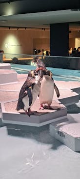 AOAO SAPPOROに投稿された画像（2023/7/22）