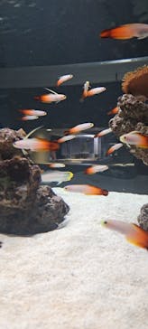 AOAO SAPPOROに投稿された画像（2023/7/22）