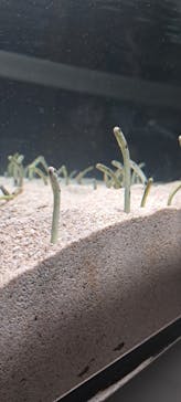 AOAO SAPPOROに投稿された画像（2023/7/22）