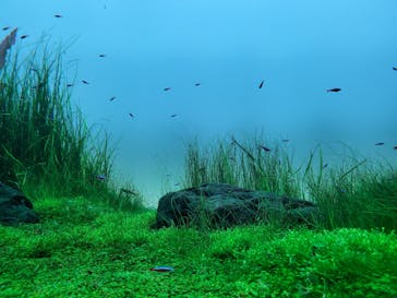 AOAO SAPPOROに投稿された画像（2023/7/22）