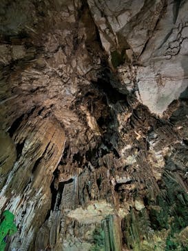 あぶくま洞に投稿された画像（2023/7/22）