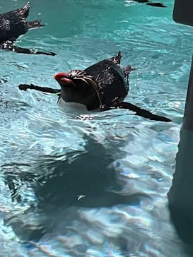 AOAO SAPPOROに投稿された画像（2023/7/22）