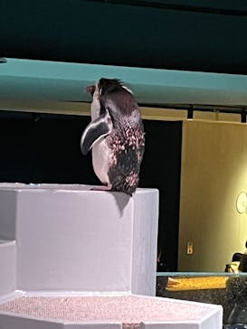 AOAO SAPPOROに投稿された画像（2023/7/22）