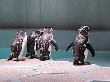 AOAO SAPPOROに投稿された画像（2023/7/22）