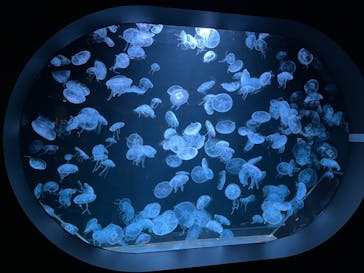 AOAO SAPPOROに投稿された画像（2023/7/22）