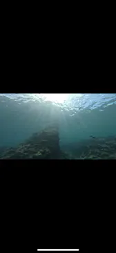 武藤潜水に投稿された画像（2023/7/22）