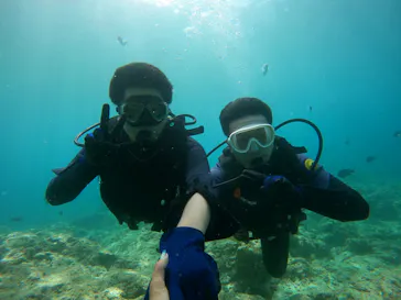 武藤潜水に投稿された画像（2023/7/22）