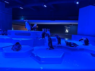 AOAO SAPPOROに投稿された画像（2023/7/22）