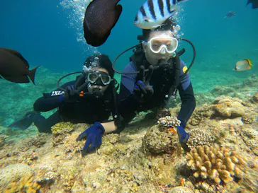 武藤潜水に投稿された画像（2023/7/22）