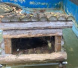 しろとり動物園に投稿された画像（2023/7/22）