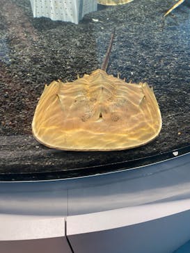 AOAO SAPPOROに投稿された画像（2023/7/22）