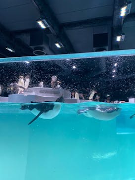 AOAO SAPPOROに投稿された画像（2023/7/22）