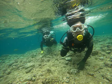 武藤潜水に投稿された画像（2023/7/22）