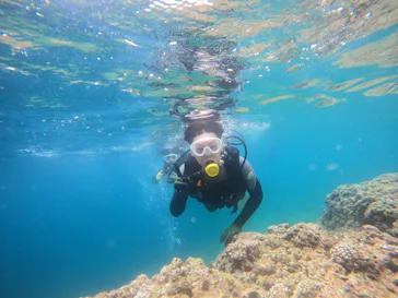 武藤潜水に投稿された画像（2023/7/22）