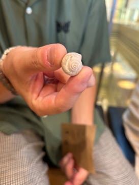 DinoScience 恐竜科学博 2023@TOKYO MIDTOWNに投稿された画像（2023/7/22）