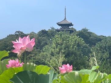 三溪園に投稿された画像（2023/7/22）