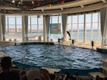 アクアワールド茨城県大洗水族館に投稿された画像（2023/7/22）
