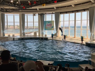 アクアワールド茨城県大洗水族館に投稿された画像（2023/7/22）